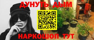 ECSTASY Боровичи
