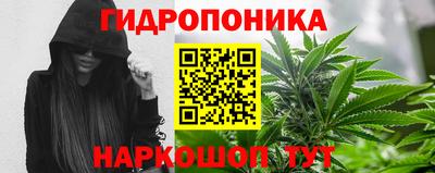 мяу мяу мука Братск