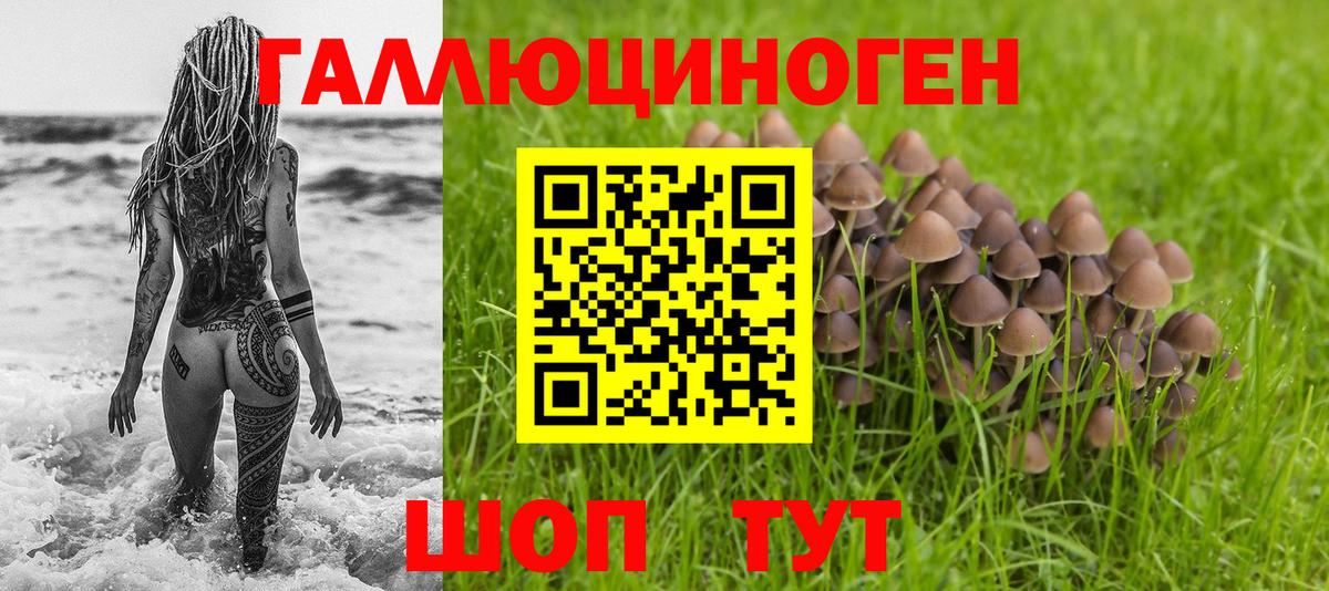 Галлюциногенные грибы Cubensis Бор