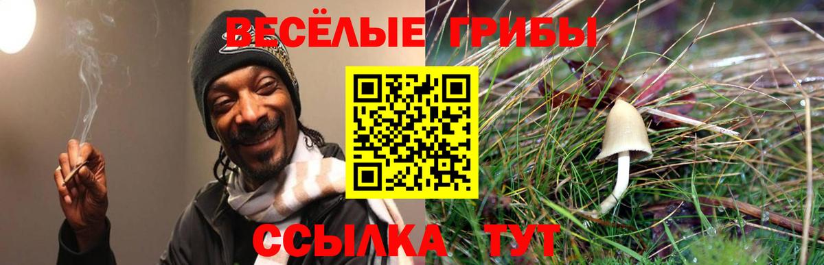 Бор  Галлюциногенные грибы Magic Shrooms  Вход с VPN 